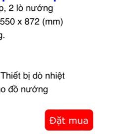 BẾP GA THÙNG RINNAI RSF-BM23 SP678 - 21