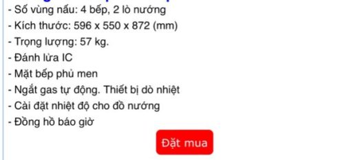 BẾP GA THÙNG RINNAI RSF-BM23 SP678 - 9