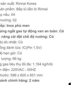 BẾP GA THÙNG RINNAI RSF-BM23 SP678 - 23