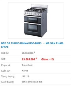 BẾP GA THÙNG RINNAI RSF-BM23 SP678 - 25