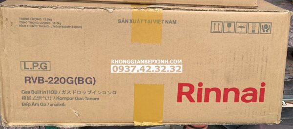 Bếp gas âm Rinnai RVB-220G(BG)/220G(B) - 248