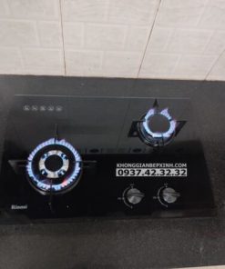 Bếp Gas Âm Rinnai RVB-6SDQ(B) - 38 Bếp Gas Âm Rinnai RVB-6SDQ(B) - 37