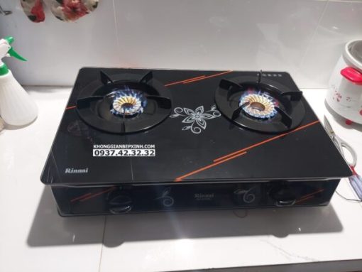 Bếp Gas Rinnai RV-3615GL(FM) - 5