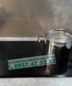 Bếp Từ Eurosun EU-T892G - 69