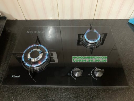 Bếp Gas Âm Rinnai RVB-6SDQ(B) - 17