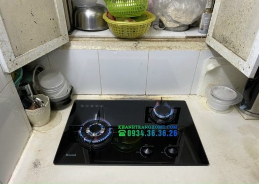 Bếp Gas Âm Rinnai RVB-6SDQ(B) - 25