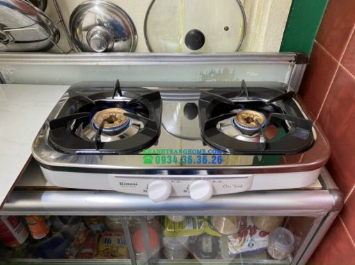 Bếp Gas Rinnai RTS-2KD - Nhật - 9