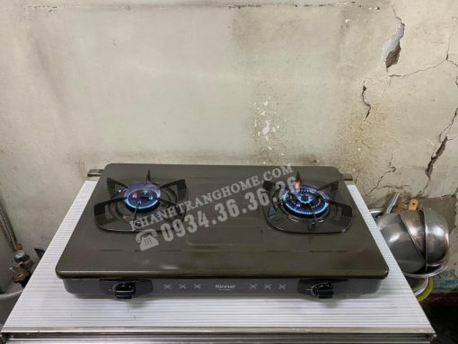 Bếp Gas Rinnai RV-615Slim(G) - 19