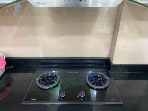 Bếp Gas Âm Rinnai RVB-2SCHI(SB) - 19