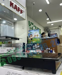 Bếp Từ Đơn Eurosun EU-T199 - 47