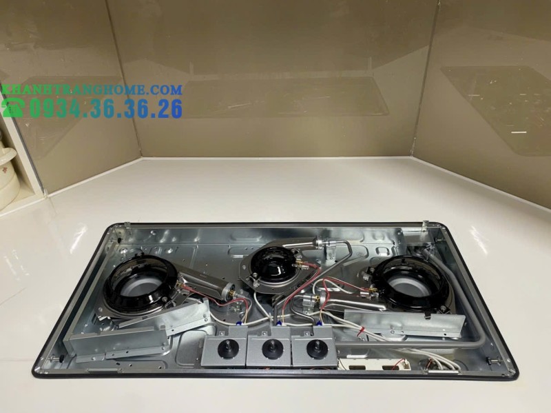 Bếp gas âm Rinnai RB-3VCGN - 100