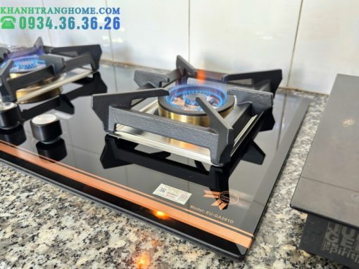 Bếp gas Eurosun EU-GA291D - 12