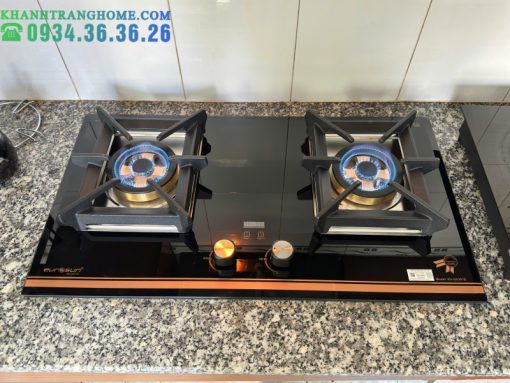 Bếp gas Eurosun EU-GA291D - 20
