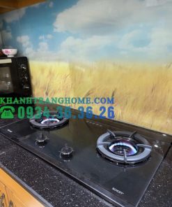 Bếp Gas Âm Rinnai RVB-2SCHI(SB) - 69