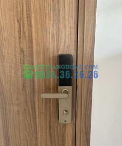 Khóa thông minh DEMAX SL630 GB tiêu chuẩn Đức - 53