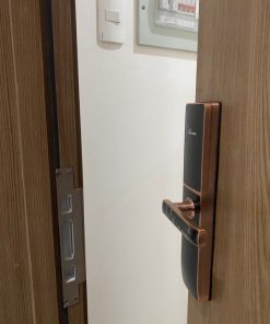 KHÓA VÂN TAY CHO CỬA GỖ DEMAX SL621AC