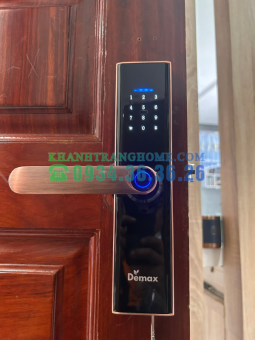 Khóa thông minh DEMAX SL266 AC tiêu chuẩn Đức - 13