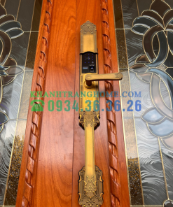 Khóa thông minh đại sảnh Demax SL819 GB APP WIFI tiêu chuẩn Đức - 58 Khóa thông minh đại sảnh Demax SL819 GB APP WIFI tiêu chuẩn Đức - 57