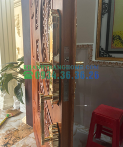 Khóa thông minh DEMAX SL819 GOLD tiêu chuẩn Đức - 29