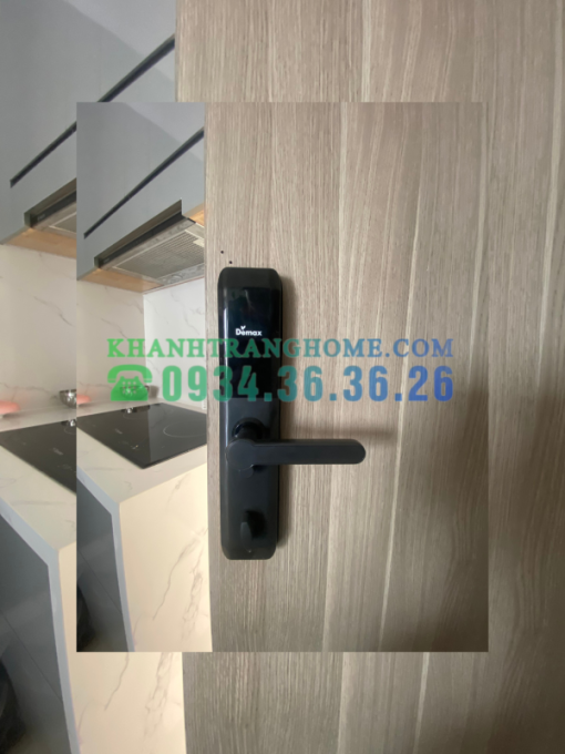 Khóa cửa thông minh DEMAX SL768 BN tiêu chuẩn Đức - 12