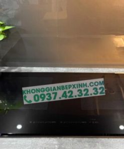 BẾP TỪ EUROSUN EU-T999G PREMIUM