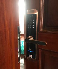 KHOÁ CỬA THÔNG MINH DEMAX SL768 AC - 8 KHOÁ CỬA THÔNG MINH DEMAX SL768 AC