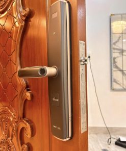 KHÓA THÔNG MINH DEMAX SL666 RM- APP WIFI