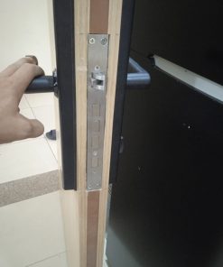 KHÓA VÂN TAY THÔNG MINH DEMAX SL638 BN