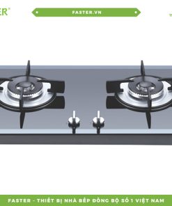 Bếp gas âm FASTER FS 213GS