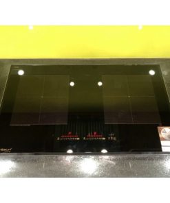 BẾP TỪ EUROSUN EU-T888GE GOLD/SILVER