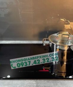 BẾP TỪ EUROSUN EU-T999G PREMIUM