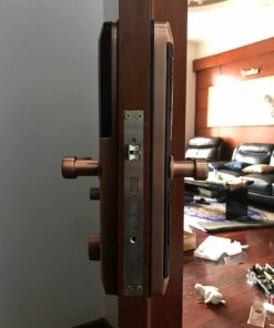 KHOÁ CỬA THÔNG MINH DEMAX SL768 AC - 9 KHOÁ CỬA THÔNG MINH DEMAX SL768 AC