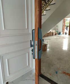KHÓA CỬA VÂN TAY DEMAX SL899 GC