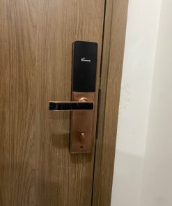 KHÓA VÂN TAY CHO CỬA GỖ DEMAX SL621AC