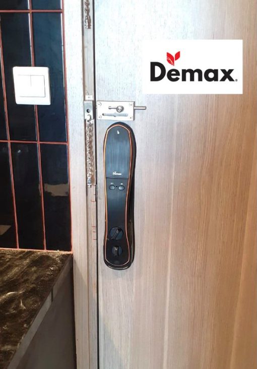 Khóa cửa vân tay DEMAX SL668 BL tiêu chuẩn Đức - 6