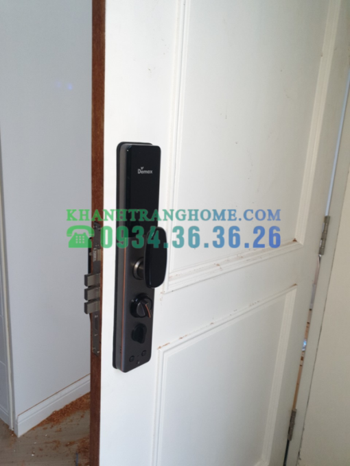 Khóa cửa thông minh DEMAX SL828 GS tiêu chuẩn Đức - 11