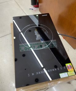 BẾP TỪ ĐƠN FASTER FS 113DI