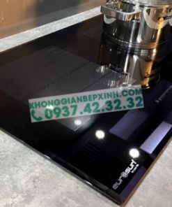 BẾP TỪ EUROSUN EU-T999G PREMIUM