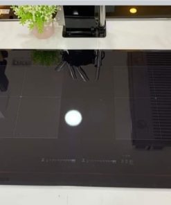 BẾP TỪ EUROSUN EU-T888GE GOLD/SILVER