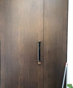 KHÓA VÂN TAY CHUÔNG MÀN HÌNH DEMAX SL868 CP