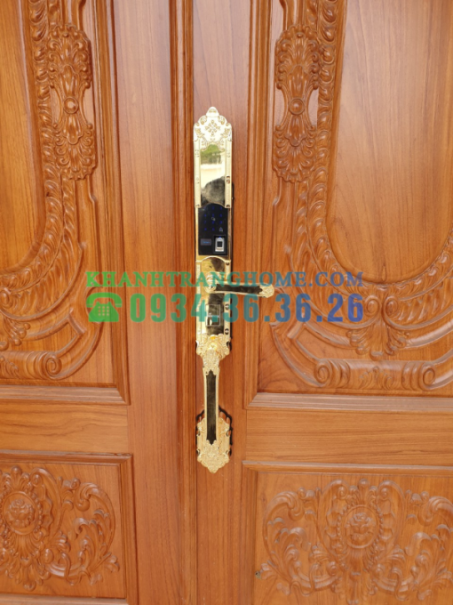 Khóa thông minh DEMAX SL819 GOLD tiêu chuẩn Đức - 19