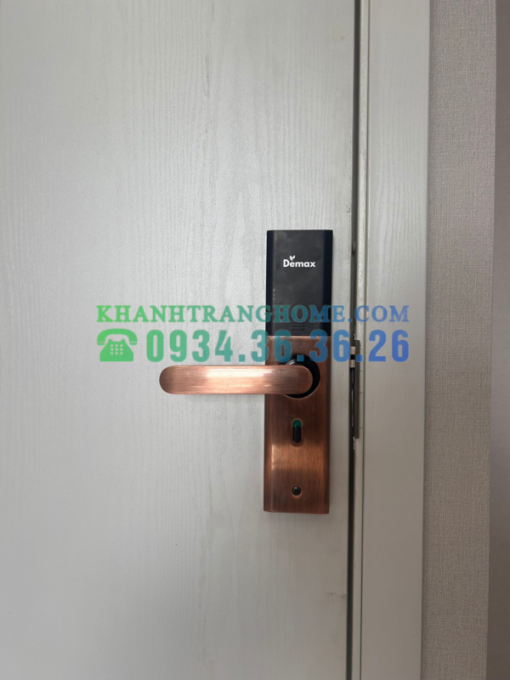 Khóa thông minh DEMAX SL266 AC tiêu chuẩn Đức - 7