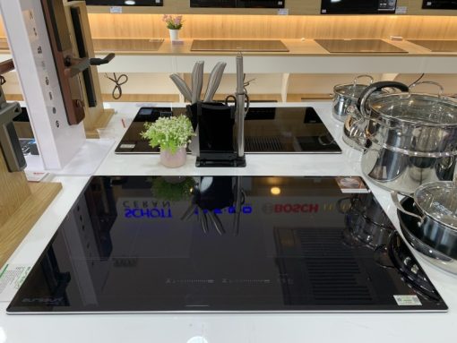 BẾP TỪ EUROSUN EU-T888GE GOLD/SILVER