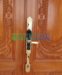 Khóa thông minh DEMAX SL819 GOLD tiêu chuẩn Đức - 41