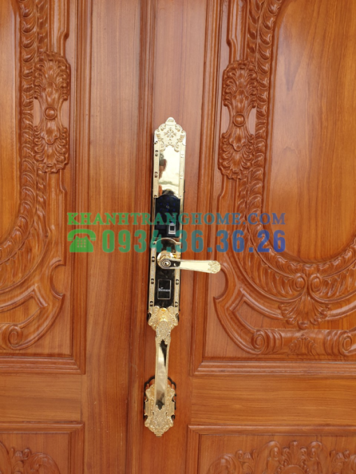 Khóa thông minh DEMAX SL819 GOLD tiêu chuẩn Đức - 21