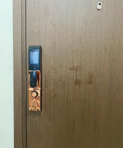 KHÓA VÂN TAY CHUÔNG MÀN HÌNH DEMAX SL868 CP