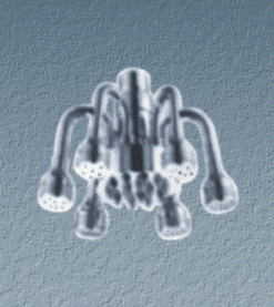 Bát sen Gorlde 8325