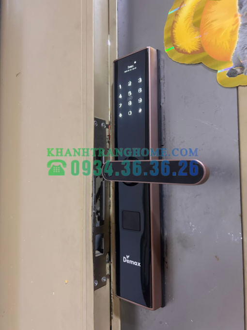 Khóa thông minh DEMAX SL638 RM tiêu chuẩn Đức - 24