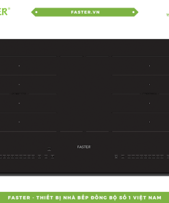 Bếp từ FASTER FS 838I Plus