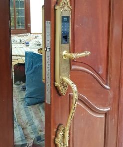 KHÓA VÂN TAY TÂN CỔ KASSLER KL-969C ( VÀNG ĐỒNG) - CHỐNG MƯA - 9 KASSLER KL-969C